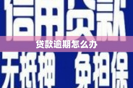 右江贷款逾期怎么办