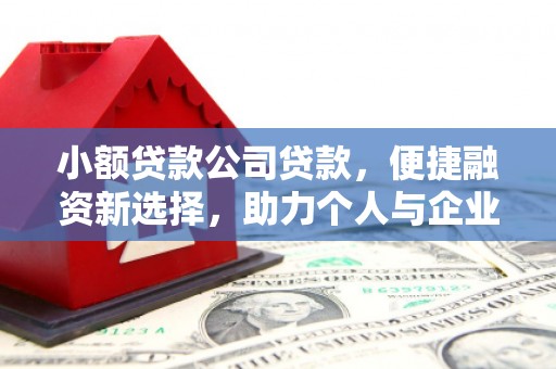 右江小额贷款公司贷款，便捷融资新选择，助力个人与企业成长