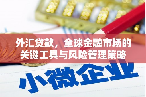 右江外汇贷款，全球金融市场的关键工具与风险管理策略