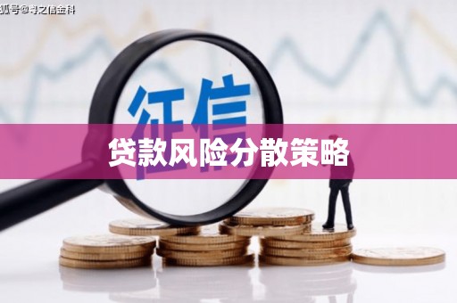 右江贷款风险分散策略