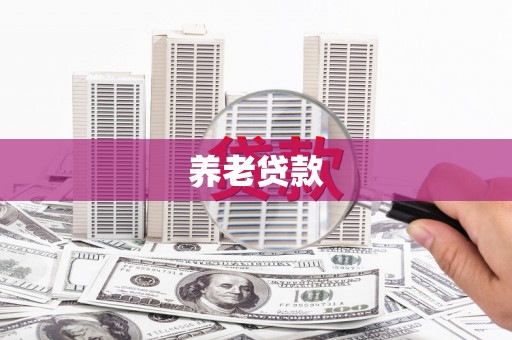 右江养老贷款