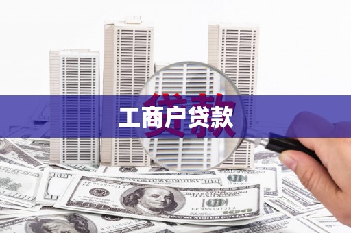 右江工商户贷款