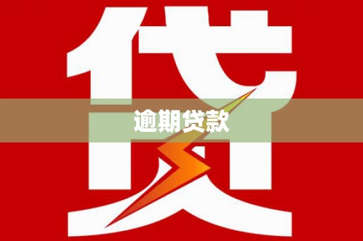右江逾期贷款