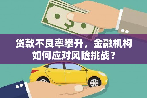 右江贷款不良率攀升，金融机构如何应对风险挑战？