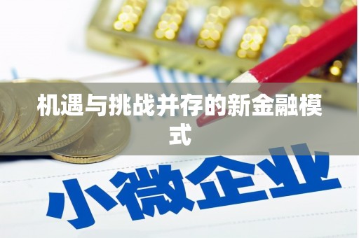 右江机遇与挑战并存的新金融模式