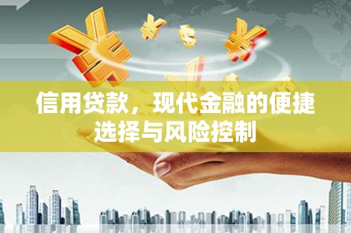 右江信用贷款，现代金融的便捷选择与风险控制