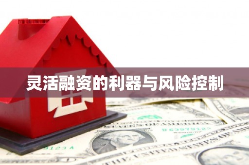 右江灵活融资的利器与风险控制