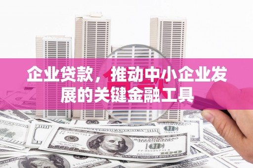 右江企业贷款，推动中小企业发展的关键金融工具