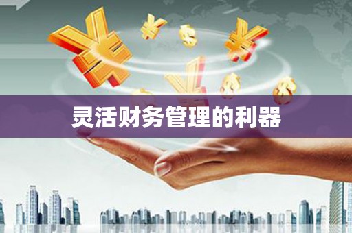 右江灵活财务管理的利器