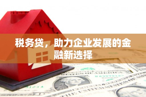 右江税务贷，助力企业发展的金融新选择