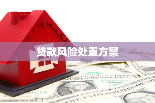 右江贷款风险处置方案