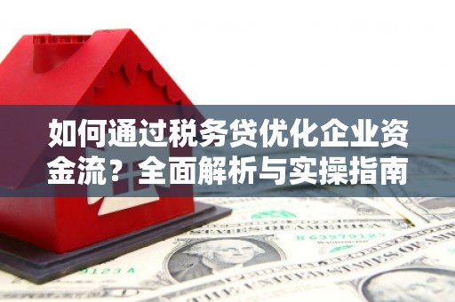 右江如何通过税务贷优化企业资金流？全面解析与实操指南