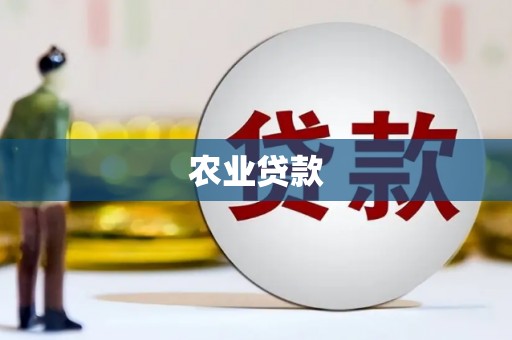 右江农业贷款