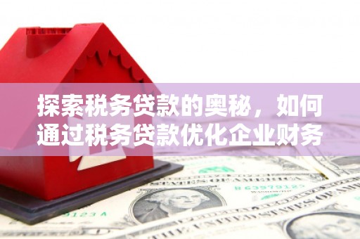 右江探索税务贷款的奥秘，如何通过税务贷款优化企业财务