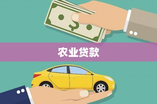 右江农业贷款