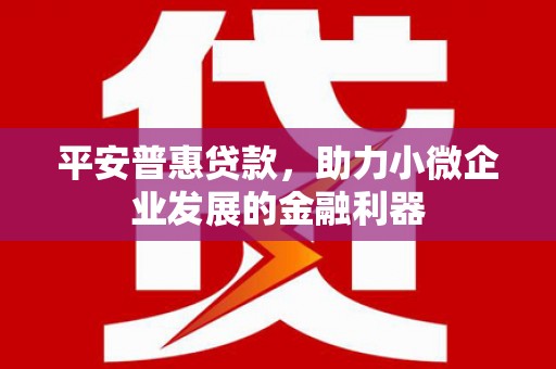 右江平安普惠贷款，助力小微企业发展的金融利器
