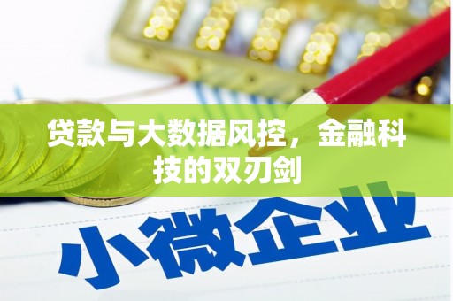 右江贷款与大数据风控，金融科技的双刃剑