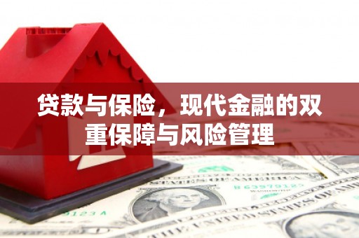 右江贷款与保险，现代金融的双重保障与风险管理