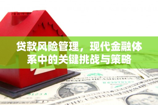 右江贷款风险管理，现代金融体系中的关键挑战与策略