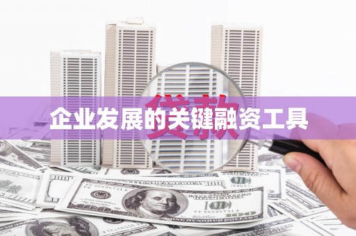 右江企业发展的关键融资工具
