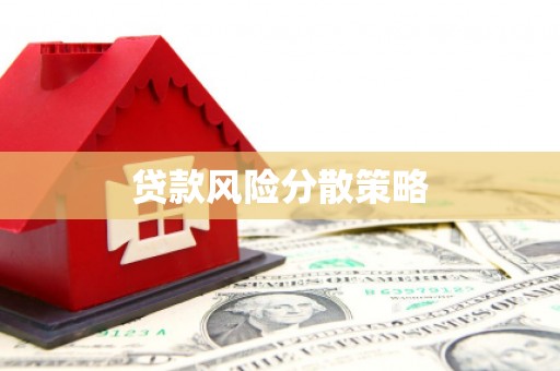 右江贷款风险分散策略