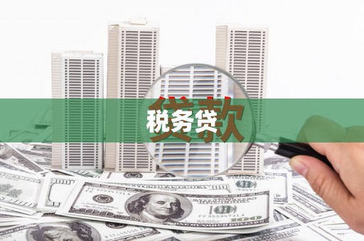 右江税务贷