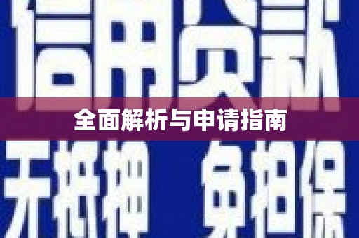 右江全面解析与申请指南