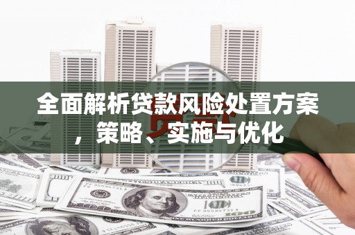右江全面解析贷款风险处置方案，策略、实施与优化