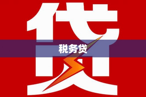 右江税务贷