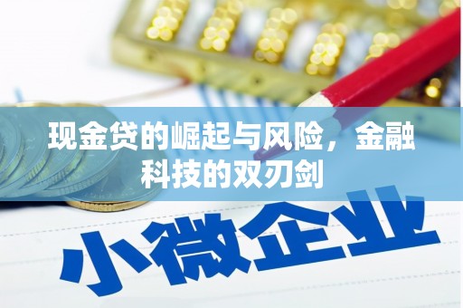 右江现金贷的崛起与风险，金融科技的双刃剑