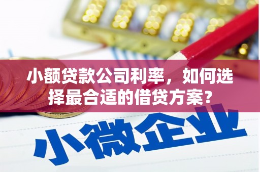 右江小额贷款公司利率，如何选择最合适的借贷方案？