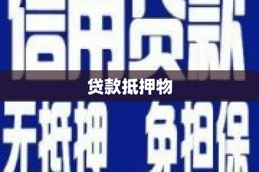 右江贷款抵押物