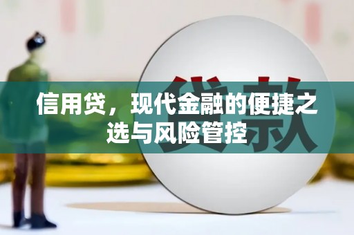 右江信用贷，现代金融的便捷之选与风险管控
