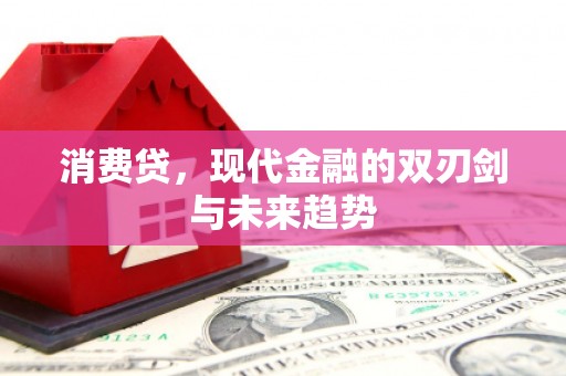 右江消费贷，现代金融的双刃剑与未来趋势
