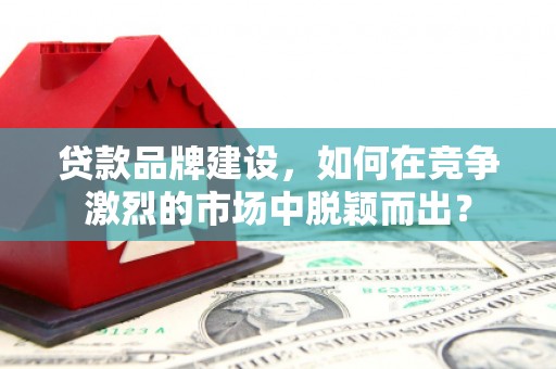 右江贷款品牌建设，如何在竞争激烈的市场中脱颖而出？