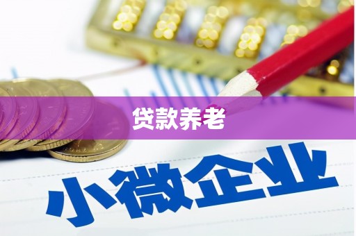 右江贷款养老