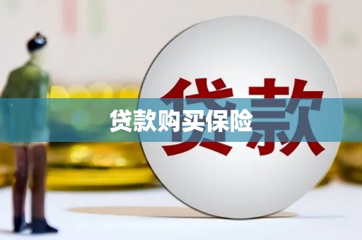 右江贷款购买保险