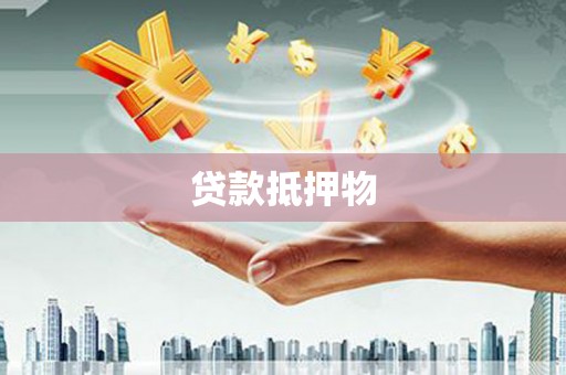 右江贷款抵押物