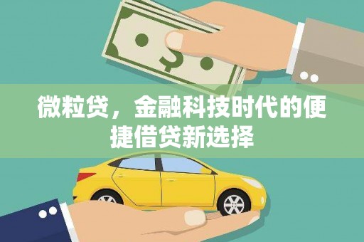 右江微粒贷，金融科技时代的便捷借贷新选择