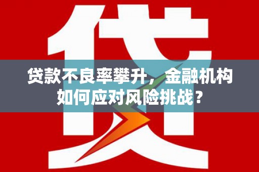 右江贷款不良率攀升，金融机构如何应对风险挑战？