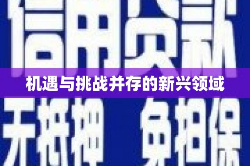右江机遇与挑战并存的新兴领域