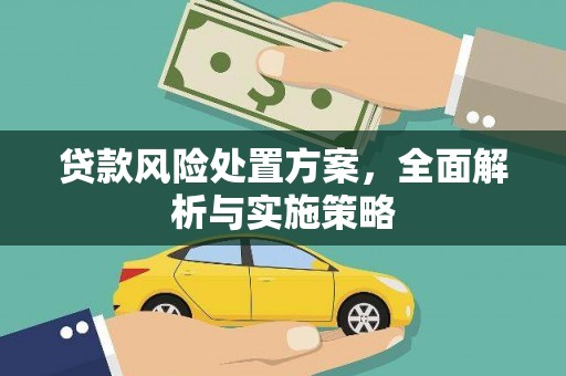 右江贷款风险处置方案，全面解析与实施策略