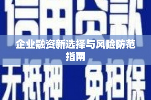 右江企业融资新选择与风险防范指南
