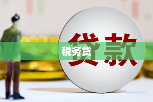 右江税务贷