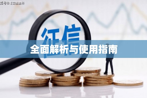 右江全面解析与使用指南