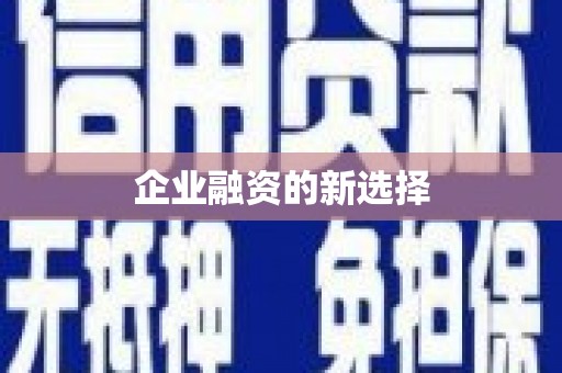 右江企业融资的新选择