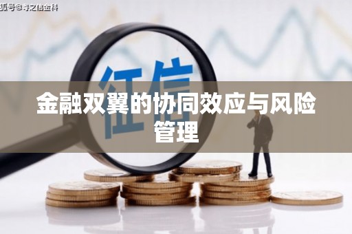 右江金融双翼的协同效应与风险管理