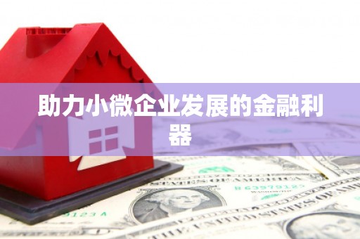 右江助力小微企业发展的金融利器
