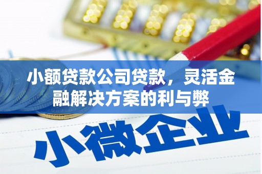 右江小额贷款公司贷款，灵活金融解决方案的利与弊