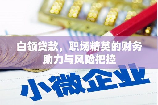 右江白领贷款，职场精英的财务助力与风险把控